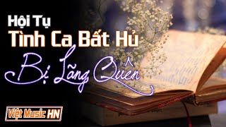 30 Tình Khúc Hội Tụ Những Bài Hát Hay Nhưng Bị Lãng Quên | Dòng Nhạc Tình Ca Phòng Trà Sang Trọng