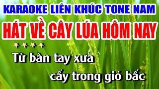 Liên Khúc Nhạc Đỏ Karaoke Remix Hát Về Cây Lúa Hôm Nay Nhạc Sống Khánh My