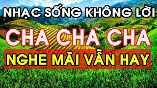 Nhạc Sống Không Lời Hay Nhất - NGHE MÃI VẪN HAY - LK Nhạc Sống Trữ Tình Cha Cha Cha